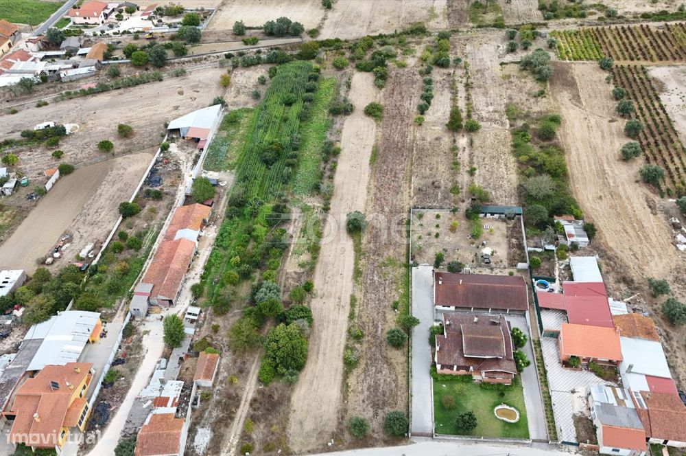 Terreno Cadima