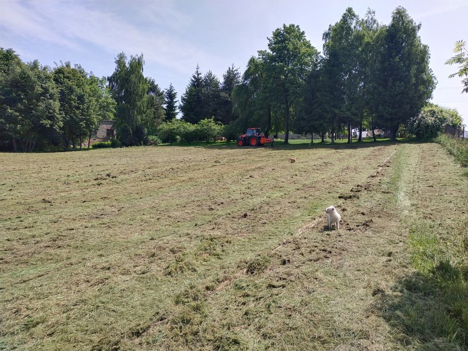 Działka budowlana 37a, Miedzyrzecze Dolne