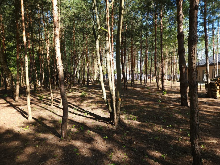 Продаж будинків в с. Рожівка
