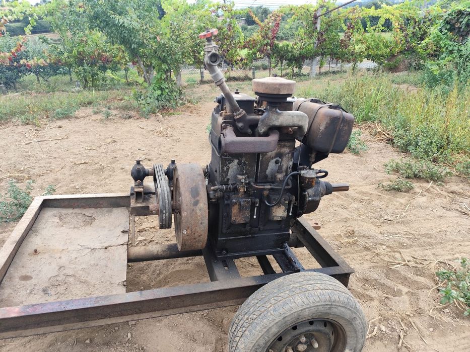 Grupo de rega, motor e bomba