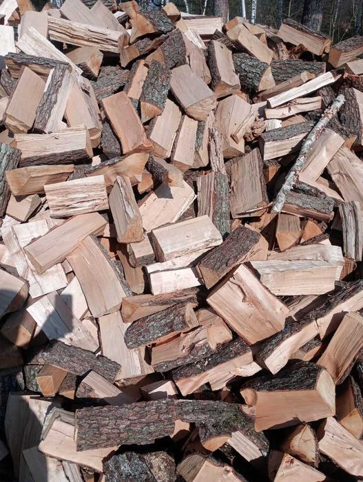 Brzoza Rąbana Nasypowe