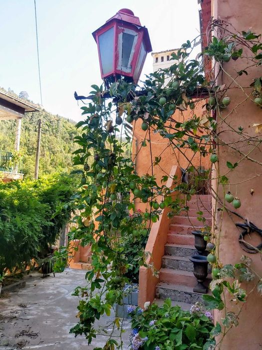 Arrendamento em Coimbra | Charmoso Apartamento T2 – Conforto, Natureza e Refúgio Privativo | Com despesas incluidas