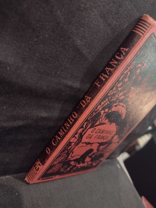 O Caminho da França - Júlio Verne