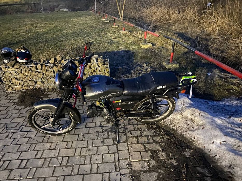 В продажі альфа мустанг 125