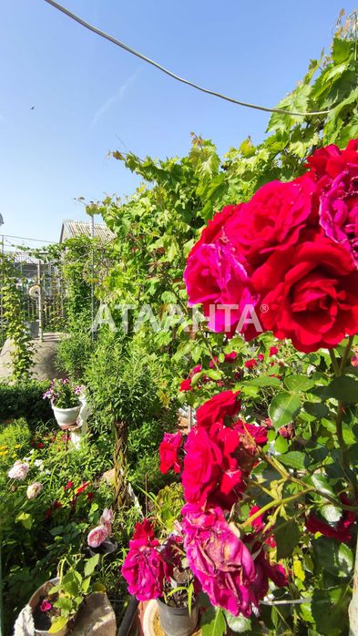 Капитальный дом в Малодолинском