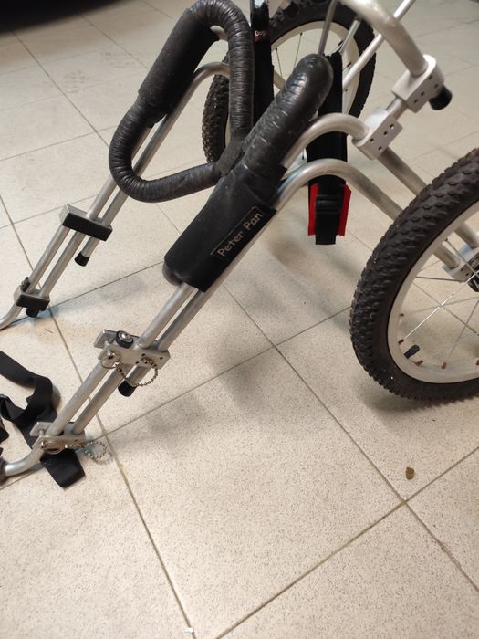 Cadeira de rodas para Pastor Alemão