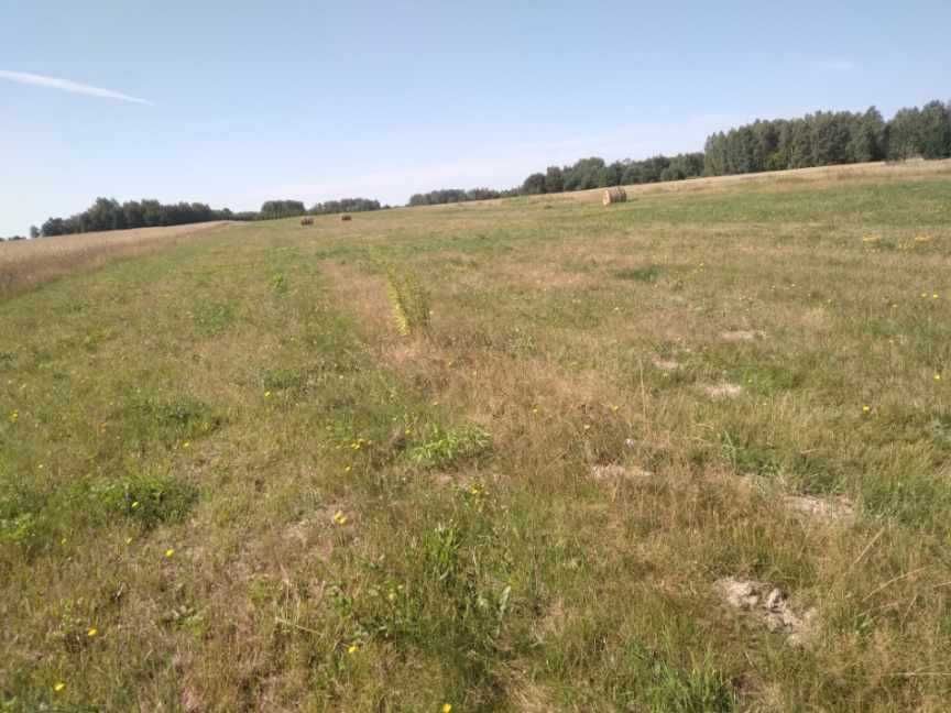 Działki budowlane 1023 m² – Anielinek, gm. Jakubów – blisko A2 - Widok 5