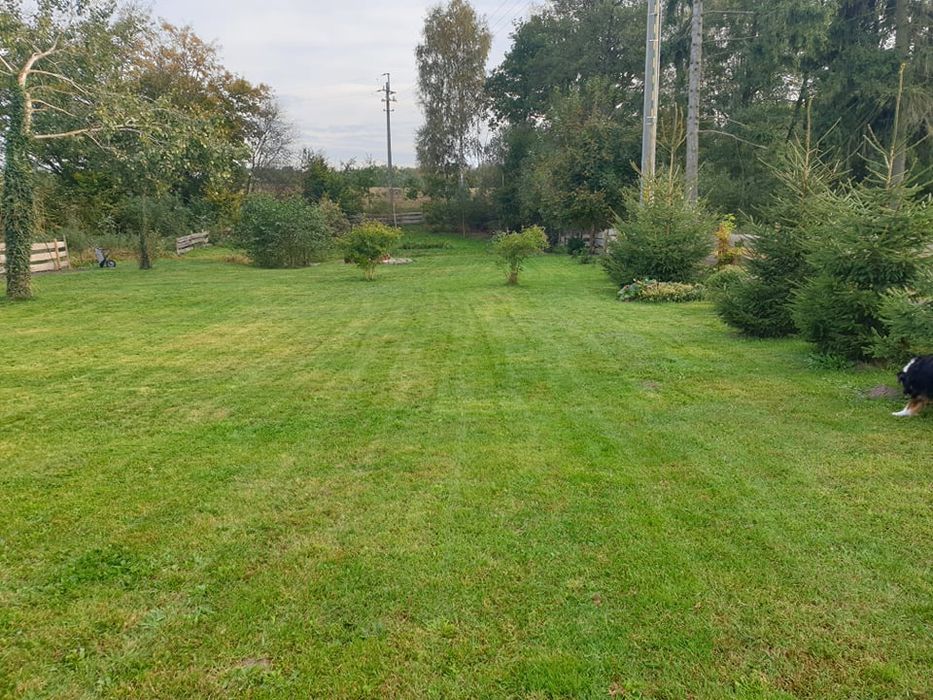 PROMOCJA Drewniany domek 300zł ZA WSZYSTKO/doba