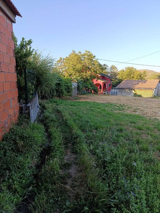 Lote para Construção (501m2) + 2 Terrenos Rústicos (1909m2) – A 7 km de Castro Daire