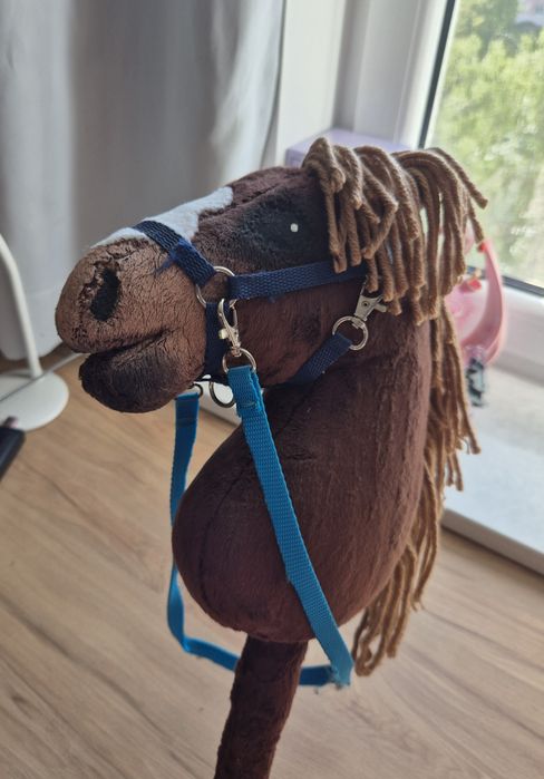 Hobby Horse A4 zestaw