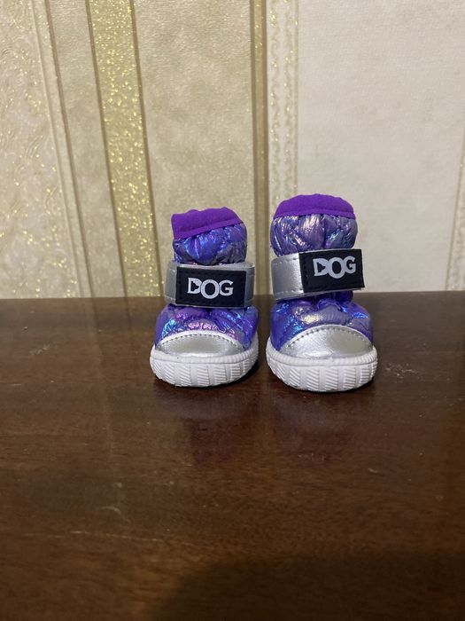 Модне взуття для маленькоі собачки