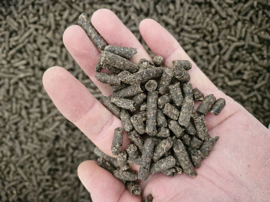 Wysłodki buraczane suche melasowani melasa granulowane
