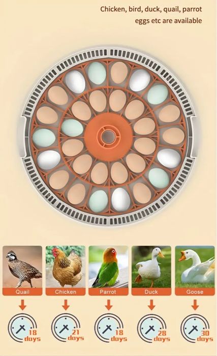 Інкубатор автоматичний