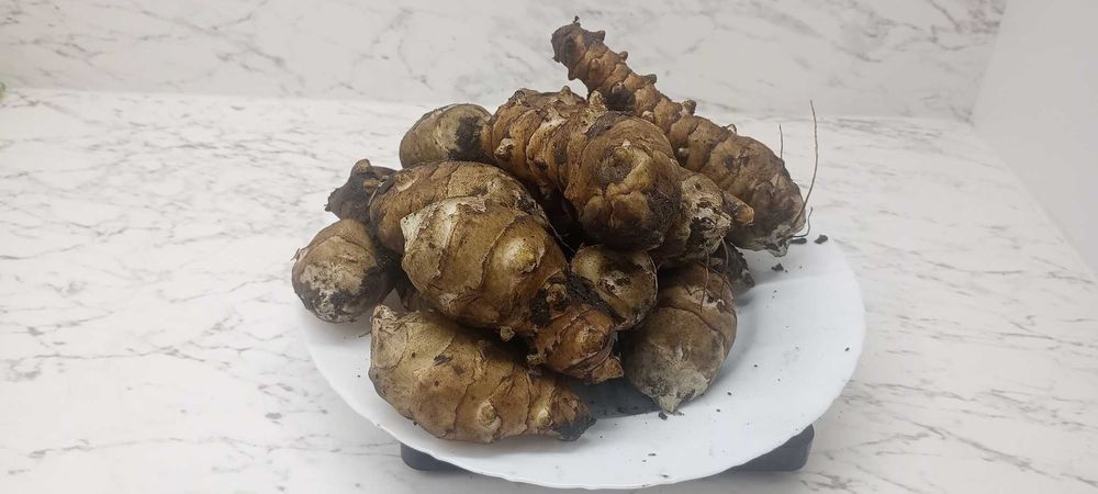 Topinambór - słonecznik bulwiasty
Topinambór - słonecznik bulwiasty