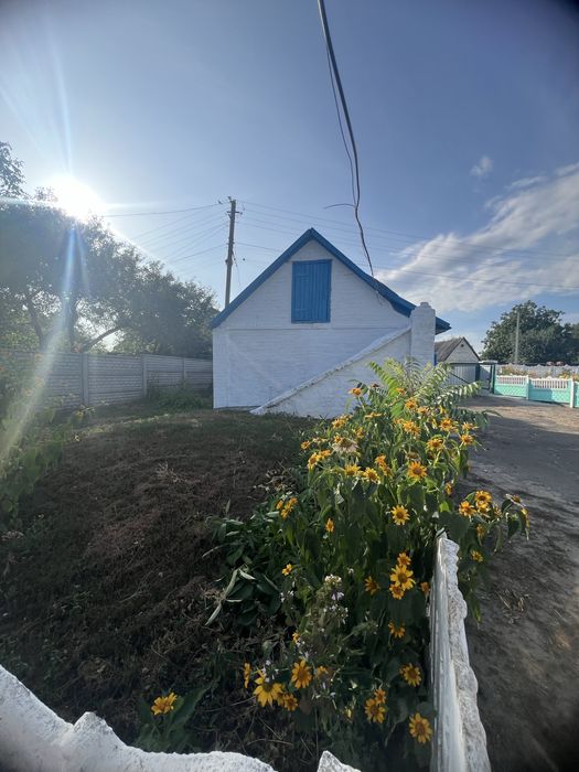 ‼️ПРОДАЖ  будинку   в селі  Лосятин