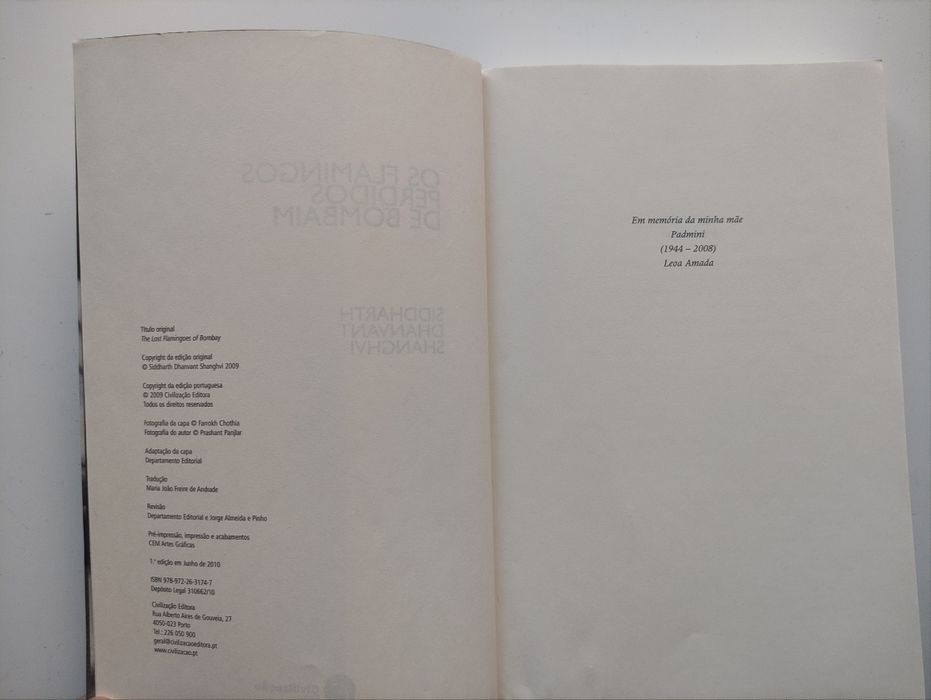 Os Flamingos Perdidos de Bombaim