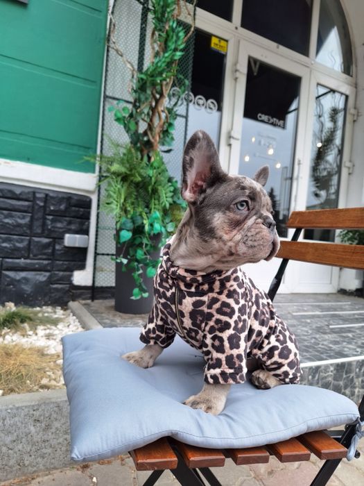 Харизматична француженка