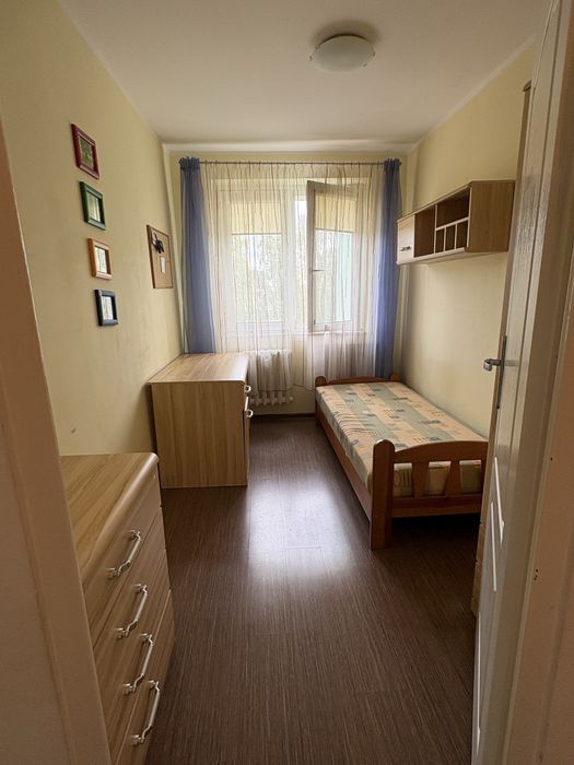 Zdjęcie 7