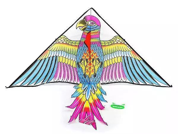 Latawiec ptak 208612. Adar