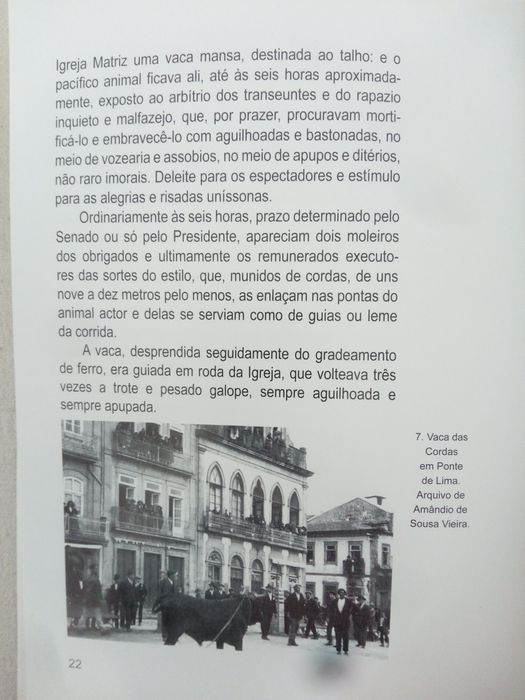 A Vaca das Cordas em Ponte de Lima - Luís Dantas