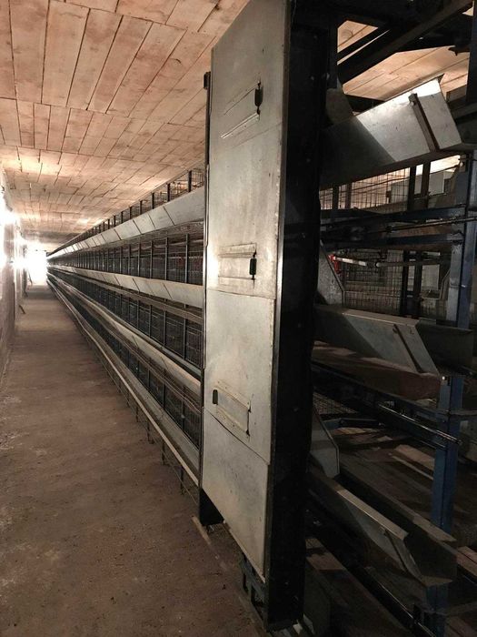 Продам птахофабрику в с. Новий Мерчик