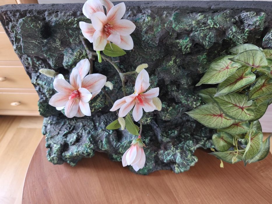 Ścianka do terrarium