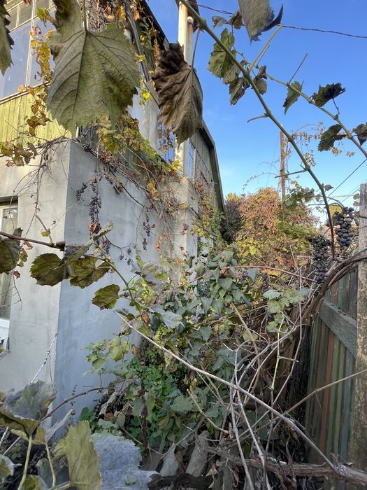 Участок в городе!