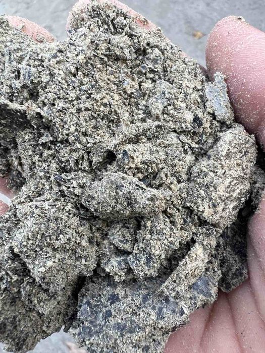 Макуха соняшникова