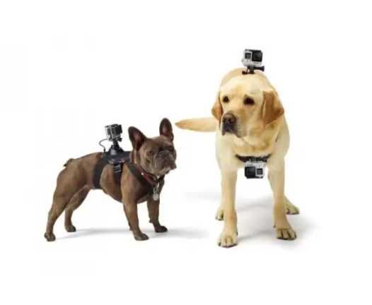 Xiaomi накладка для животных с креплением под видеокамеру