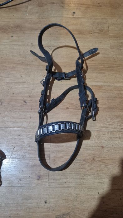 Ogłowie zaprzęgowe do konia