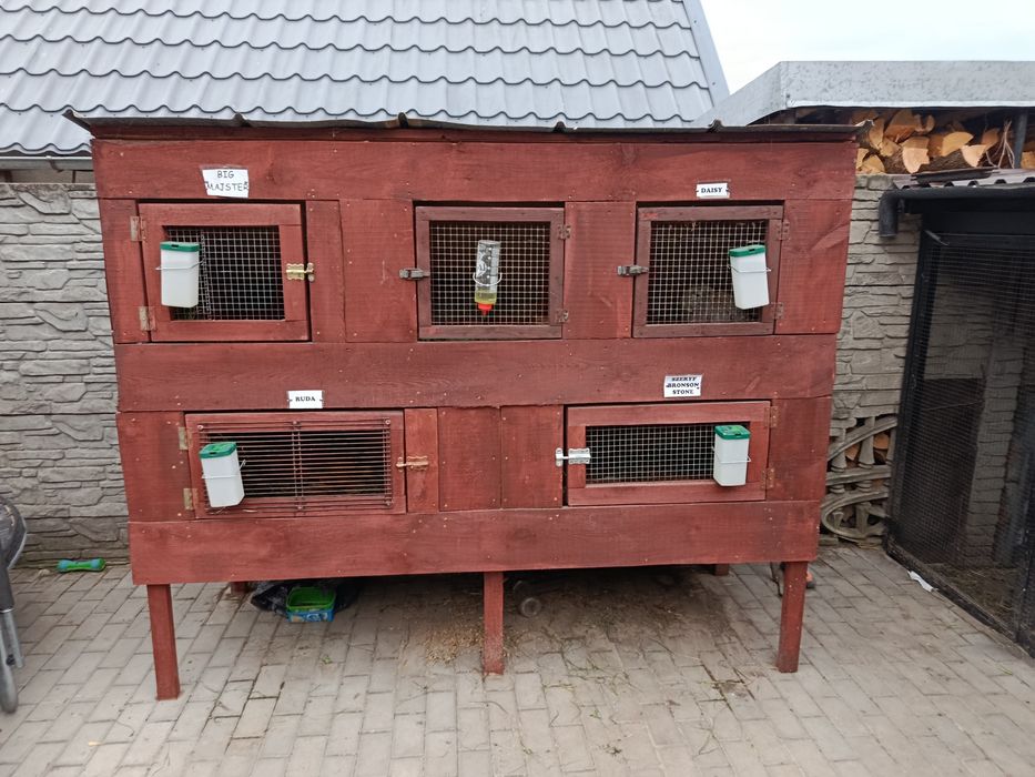 Klatka dla królików
