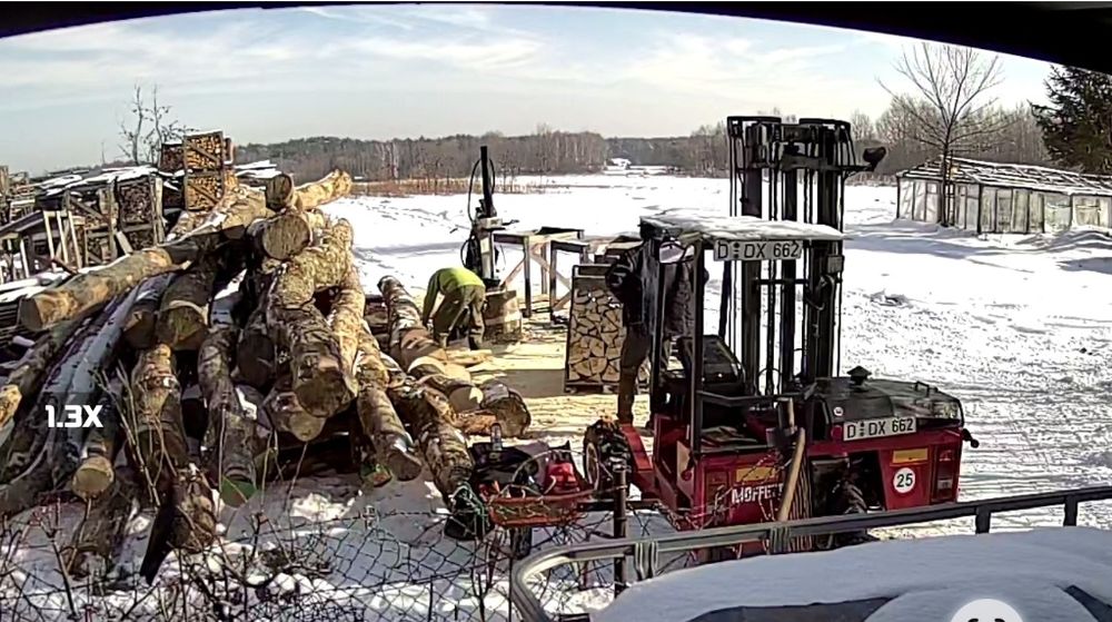 Buk jawor drewno opałowe  nie[ brzoza dąb sosna grab jesion ]