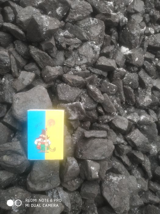 Уголь пламенный 7000  грн.тн.  Дрова твердых пород