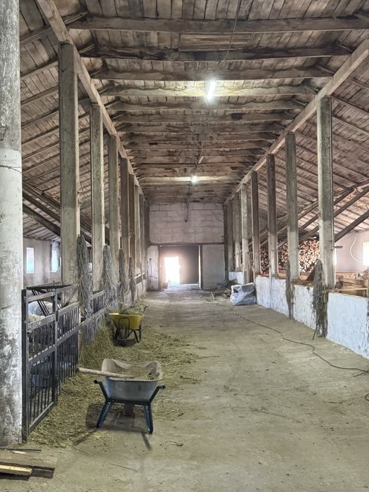 Оренда ферма/комерційна нерухомість/овоческлад/теплиці