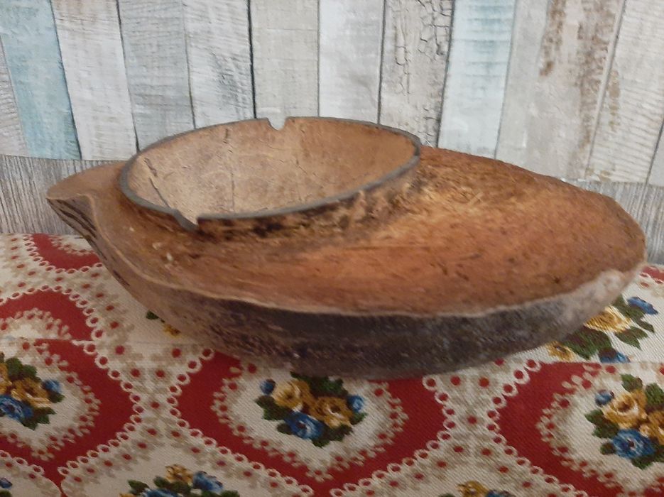 Coco (metade) Cinzeiro