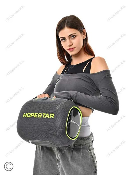 Портативная Bluetooth колонка HOPESTAR PARTYBOX,120 ВТ с 2 микрофонами