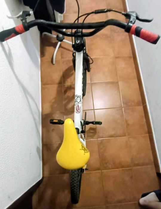 Bicicleta rodado 20.