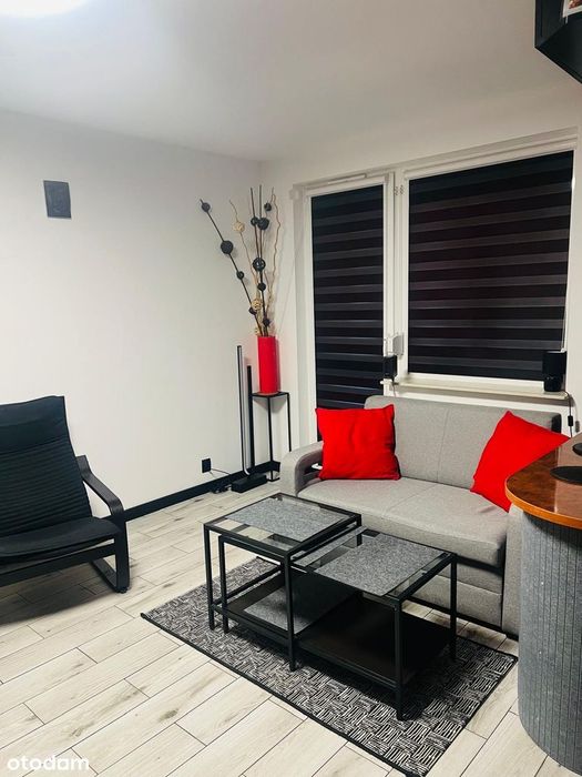 Apartament z garażem, widokiem na wydmy i las. 400 m do poru i morza. - Widok 2