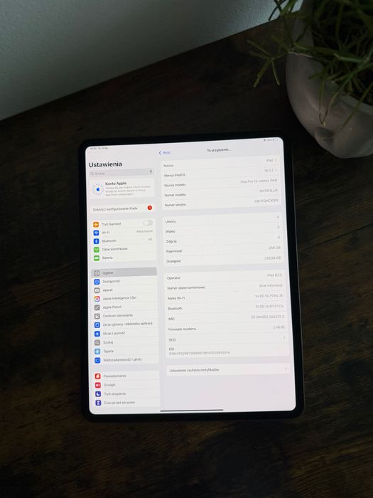 iPad Pro 13” M4 256 GB WiFi + Cellular 5G | 100% baterii