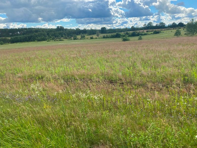 Działka 1600 m2 - blisko jeziora, na wsi