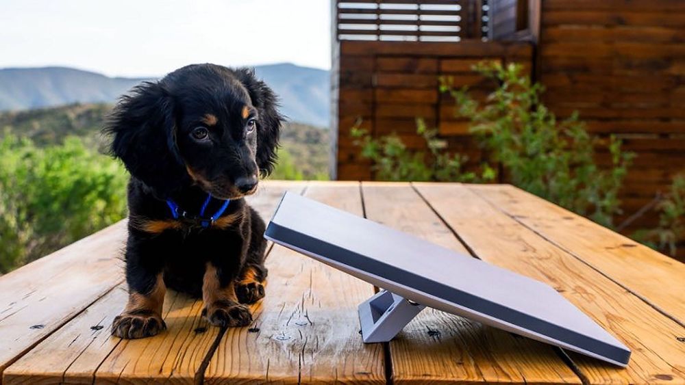 Starlink Mini - wynajem camping, event, praca - wypożyczalnia starkit