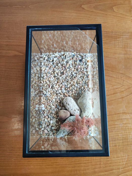 Aquario de 11L com decorações