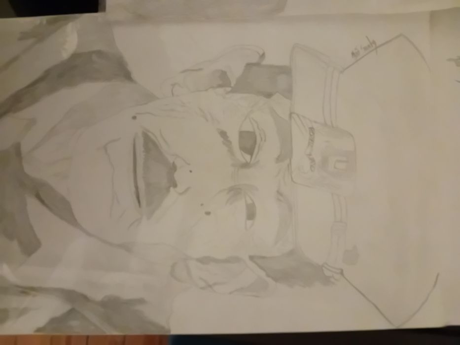 Caricaturas Pessoais e Famosos