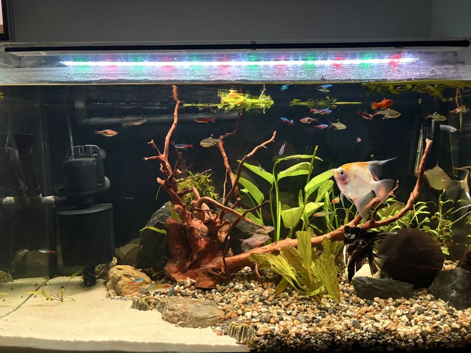 akwarium 126l zestaw