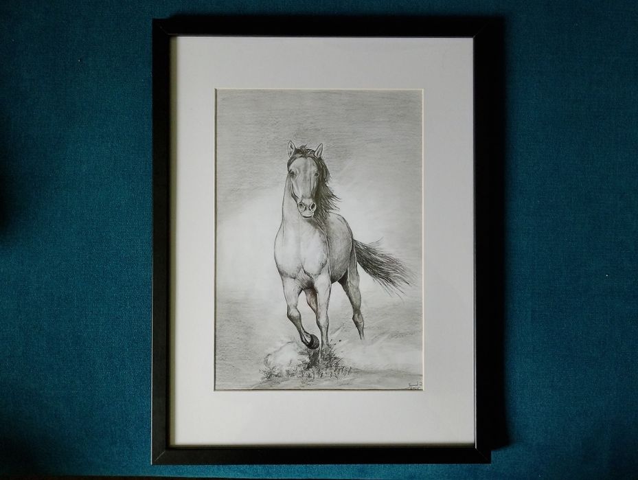 Rysunek artystyczny ołówkiem A4. Koń w galopie