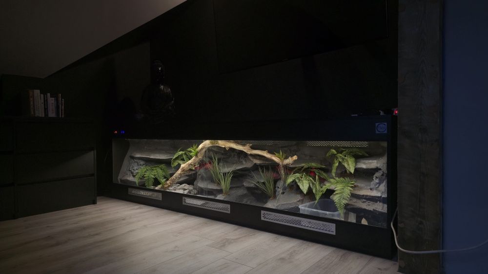 Ogromne terrarium dla Pytona Królewskiego i nie tylko 250×60×70. NOWE