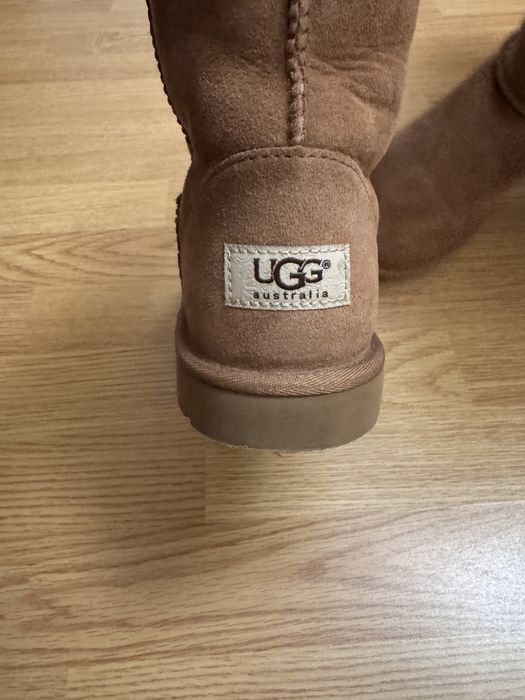 Жіночі ботинки Ugg/угі