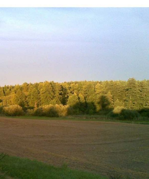 DZIAŁKA budowlana