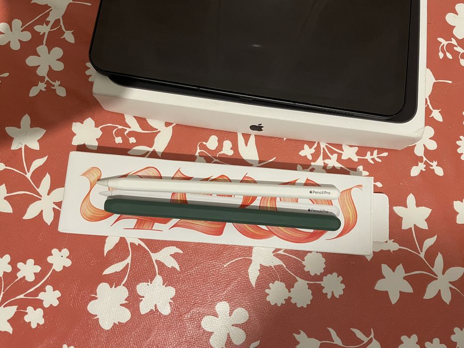 iPad Pro M4 |13” (Wi-Fi+Celular) com Apple Pencil