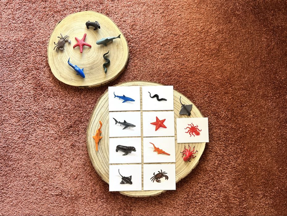 Animais do fundo do Mar - Montessori